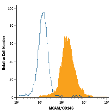 Detection of MCAM/CD146 antibody in HeLa Human Cell Line antibody by Flow Cytometry.