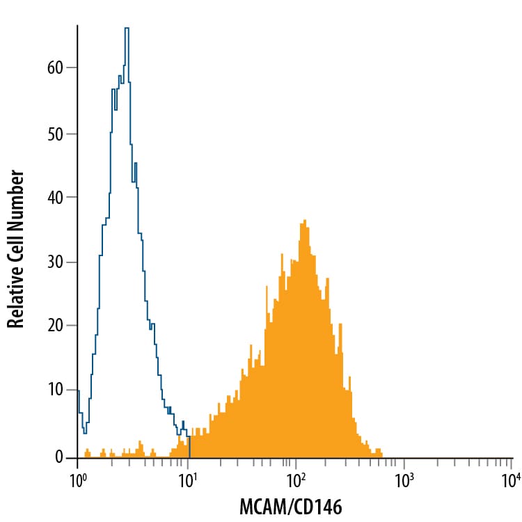 Detection of MCAM/CD146 antibody in HeLa Human Cell Line antibody by Flow Cytometry.