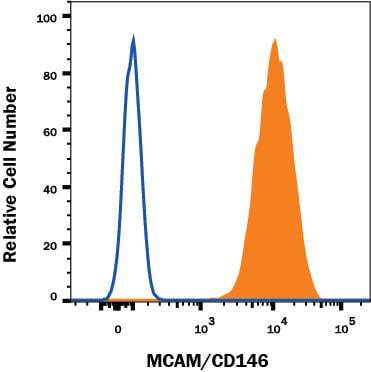 Detection of MCAM/CD146 antibody in HeLa Human Cell Line antibody by Flow Cytometry.
