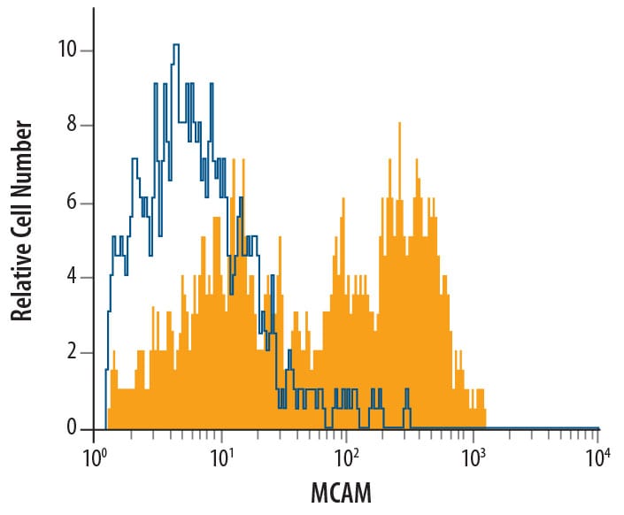 Detection of MCAM/CD146 antibody in NK1.1+ Mouse Splenocytes antibody by Flow Cytometry.
