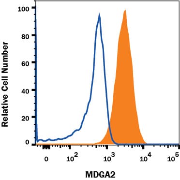 Detection of MDGA2 antibody in Rat Cortical Stem Cells antibody by Flow Cytometry.