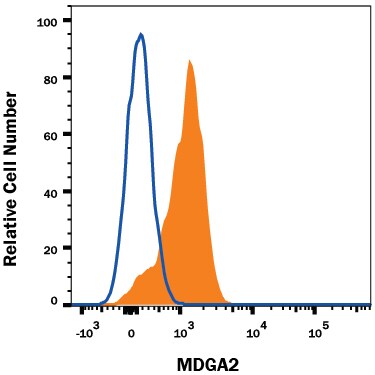 Detection of MDGA2 antibody in Rat Cortical Stem Cells antibody by Flow Cytometry.