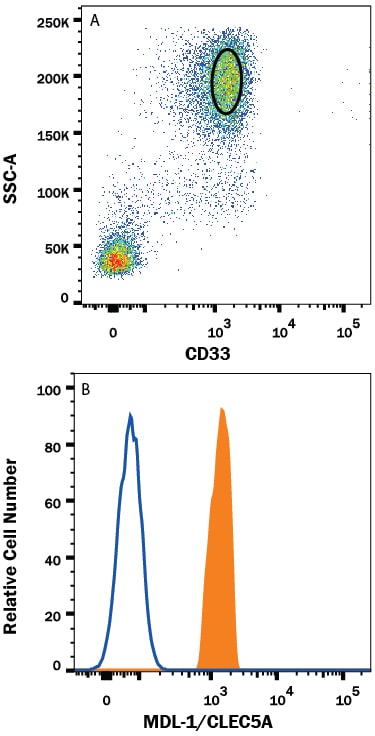 Detection of MDL-1/CLEC5A antibody in Human Blood Granulocytes antibody by Flow Cytometry.