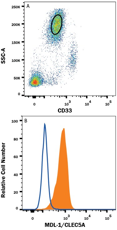 Detection of MDL-1/CLEC5A antibody in Human Blood Granulocytes antibody by Flow Cytometry.
