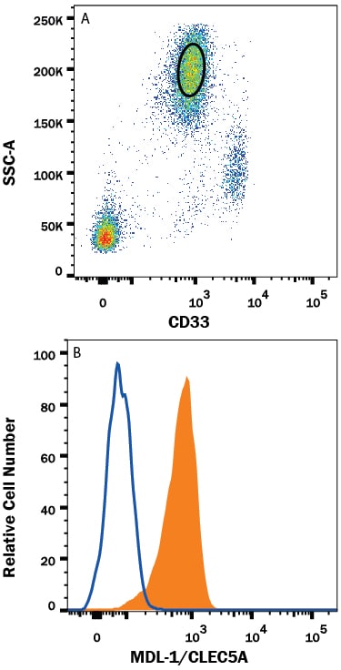 Detection of MDL-1/CLEC5A antibody in Human Blood Granulocytes antibody by Flow Cytometry.