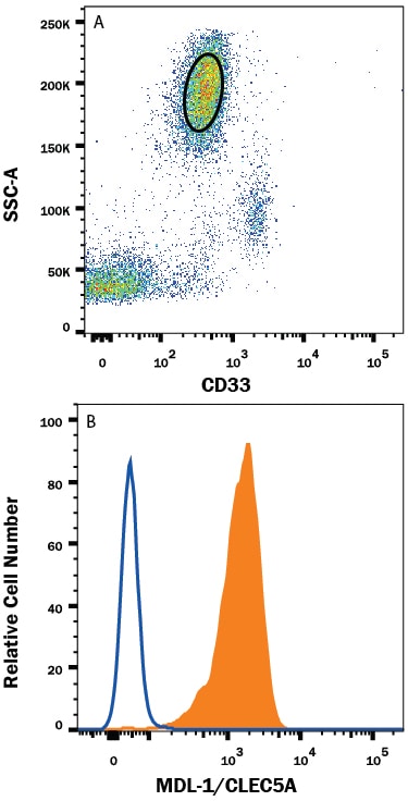 Detection of MDL-1/CLEC5A antibody in Human Blood Granulocytes antibody by Flow Cytometry.