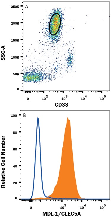 Detection of MDL-1/CLEC5A antibody in Human Blood Granulocytes antibody by Flow Cytometry.