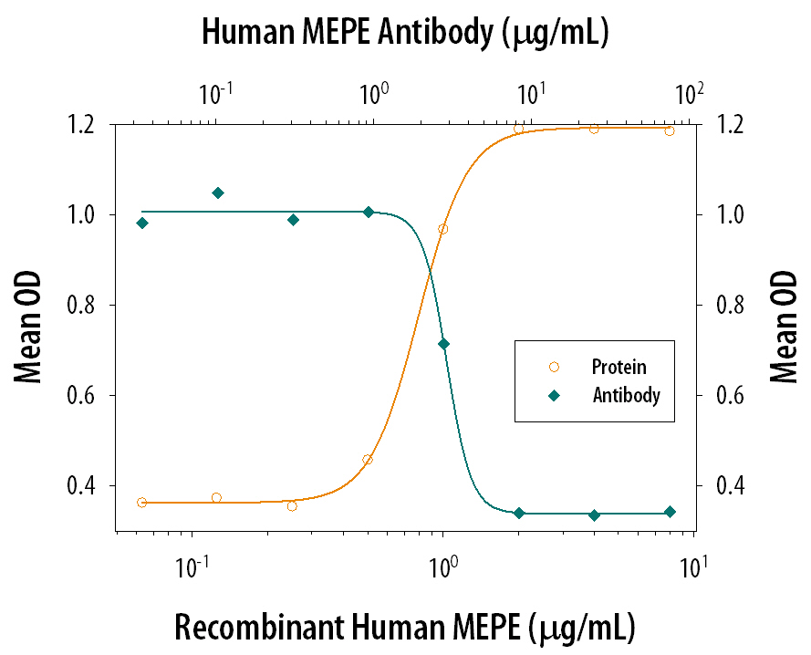 Cell Adhesion Mediated by MEPE and Neutralization by Human MEPE Antibody.