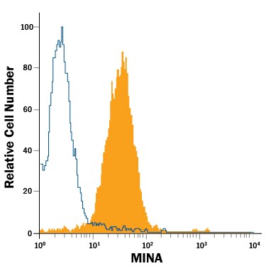 Detection of MINA antibody in Jurkat Human Cell Line antibody by Flow Cytometry.