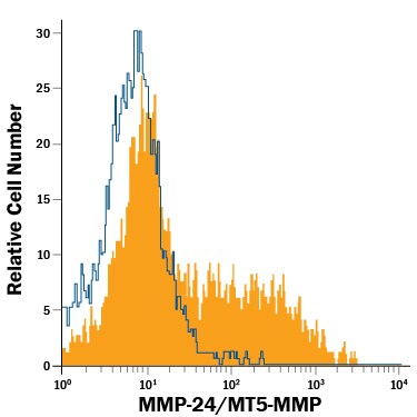 Detection of MMP-24/MT5-MMP antibody in A172 Human Cell Line antibody by Flow Cytometry.