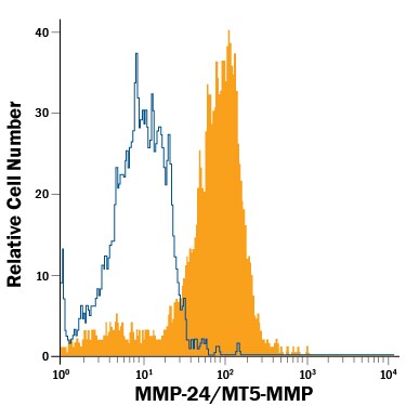Detection of MMP-24/MT5-MMP antibody in bEnd.3 Mouse Cell Line antibody by Flow Cytometry.