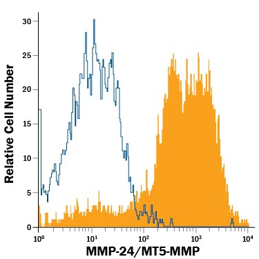 Detection of MMP-24/MT5-MMP antibody in bEnd.3 Mouse Cell Line antibody by Flow Cytometry.