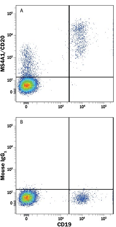 Detection of MS4A1/CD20 antibody in Human Peripheral Blood Lymphocytes antibody by Flow Cytometry.