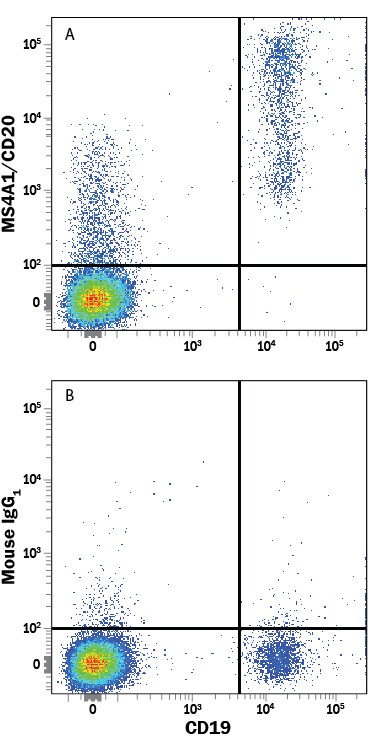 Detection of MS4A1/CD20 antibody in Human Peripheral Blood Lymphocytes antibody by Flow Cytometry.