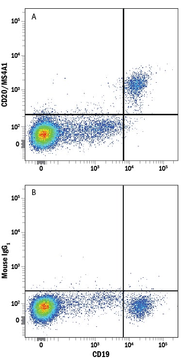 Detection of MS4A1/CD20 antibody in Human PBMCs antibody by Flow Cytometry.
