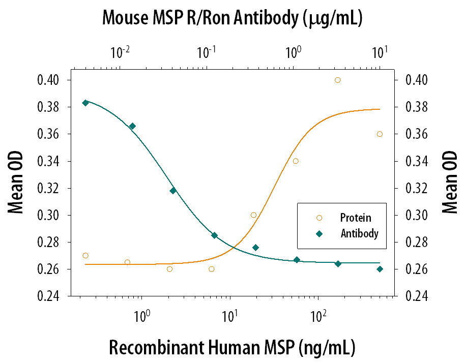 Chemotaxis Induced by MSP and Neutralization by Mouse MSP R/Ron Antibody.