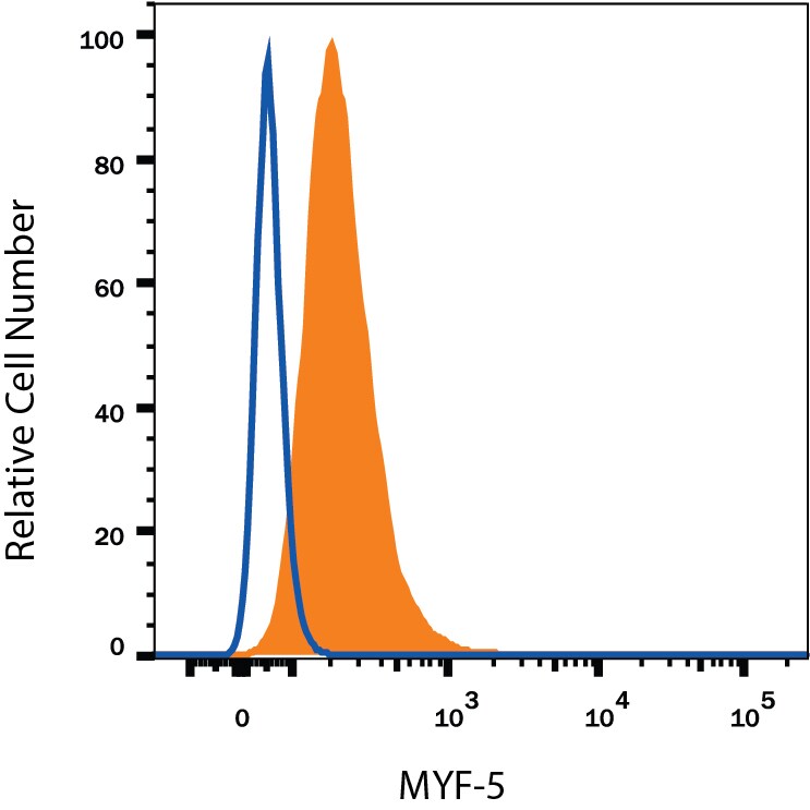 Detection of MYF‑5 antibody in C2C12 Mouse Cell Line antibody by Flow Cytometry.