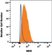 Detection of Mer antibody in J774A.1 Mouse Cell Line antibody by Flow Cytometry.