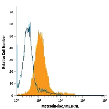 Detection of Meteorin‑like/METRNL antibody in Neuro‑2A Mouse Cell Line antibody by Flow Cytometry.