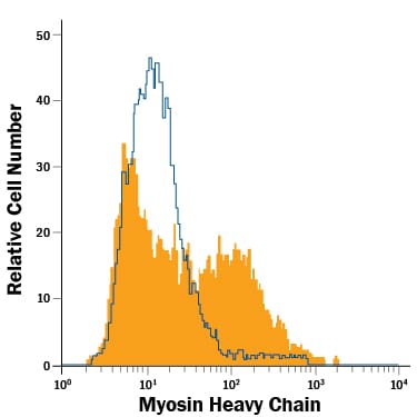 Detection of Myosin Heavy Chain antibody in C2C12 Mouse Cell Line antibody by Flow Cytometry.