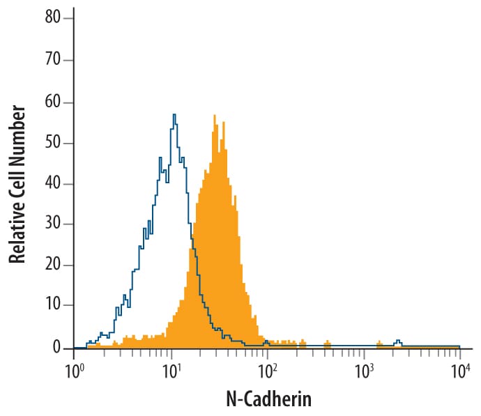 Detection of N-Cadherin antibody in HeLa Human Cell Line antibody by Flow Cytometry.