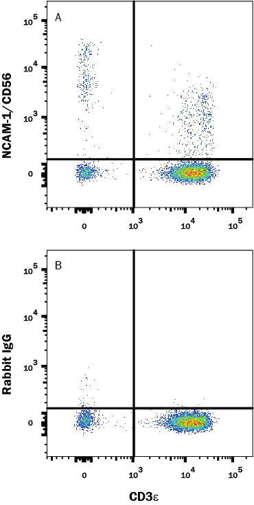 Detection of NCAM-1/CD56 antibody in Human Peripheral Blood antibody by Flow Cytometry.