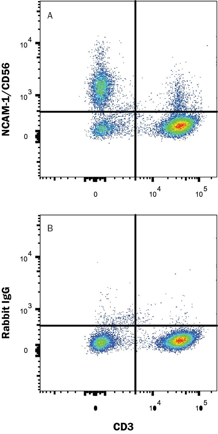 Detection of NCAM-1/CD56 antibody in Human Peripheral Blood antibody by Flow Cytometry.