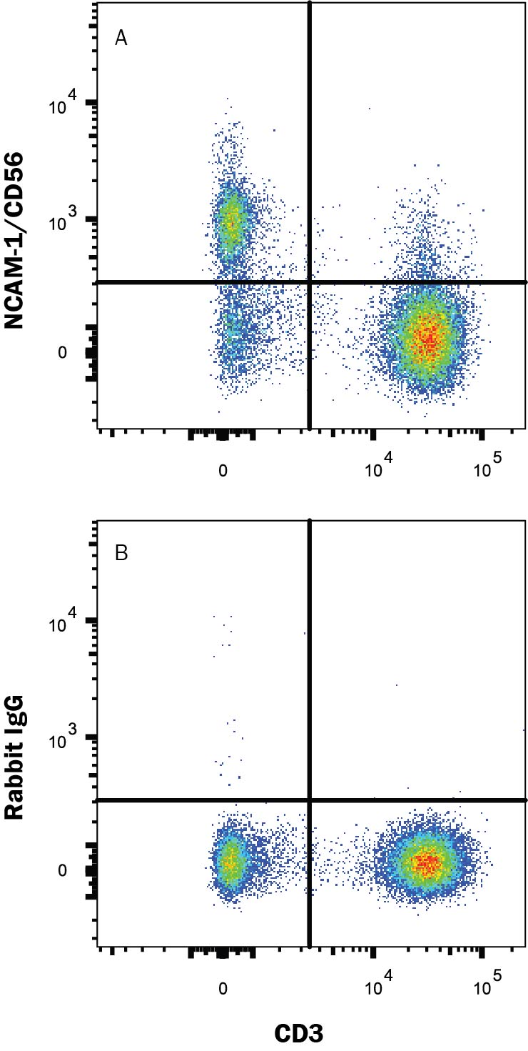 Detection of NCAM-1/CD56 antibody in Human Peripheral Blood antibody by Flow Cytometry.