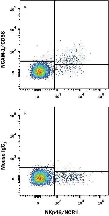 Detection of NCAM-1/CD56 antibody in Human Peripheral Blood antibody by Flow Cytometry.