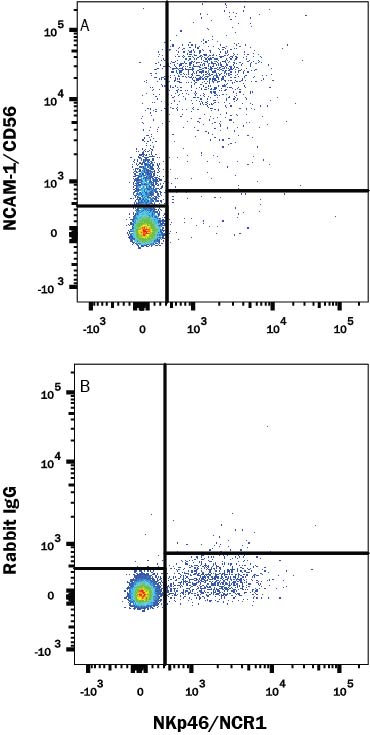Detection of NCAM-1/CD56 antibody in Human Peripheral Blood antibody by Flow Cytometry.