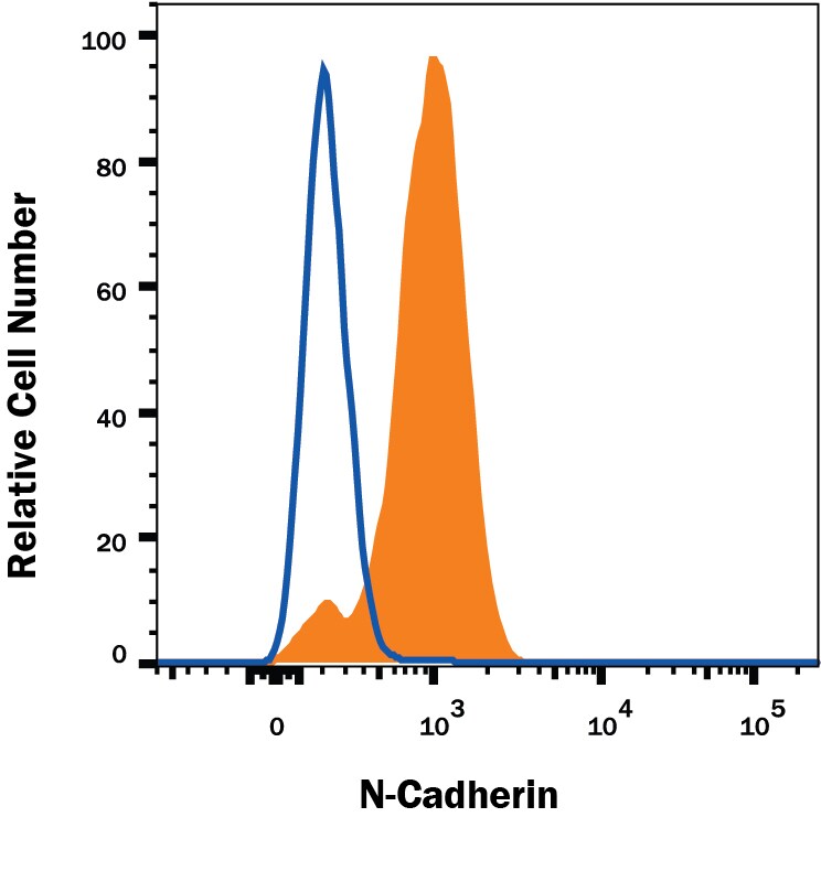Detection of N‑Cadherin antibody in HeLa Human Cell Line antibody by Flow Cytometry.