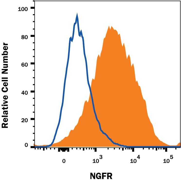 Detection of NGF R/TNFRSF16 antibody in SH-SY5Y Human Cell Line antibody by Flow Cytometry.