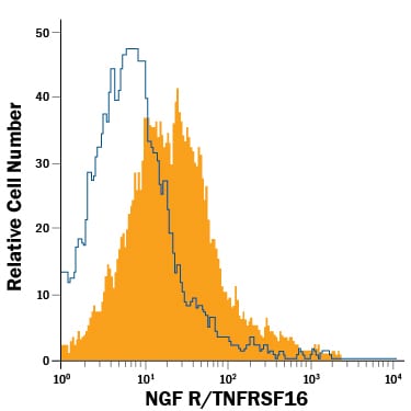 Detection of NGF R/TNFRSF16 antibody in SH-SY5Y Human Cell Line antibody by Flow Cytometry.