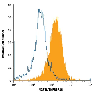Detection of NGF R/TNFRSF16 antibody in SH‑SY5Y Human Cell Line antibody by Flow Cytometry.