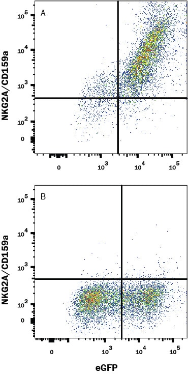 Detection of NKG2A/CD159a antibody in HEK293 Human Cell Line Transfected with Human NKG2A/CD159a and eGFP antibody by Flow Cytometry.