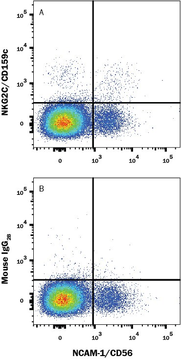 Detection of NKG2C/CD159c antibody in Human Blood Lymphocytes antibody by Flow Cytometry.