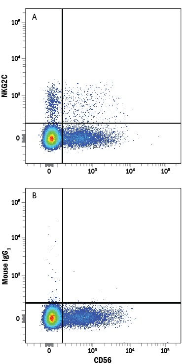 Detection of NKG2C/CD159c antibody in Human PBMC lymphocytes antibody by Flow Cytometry.