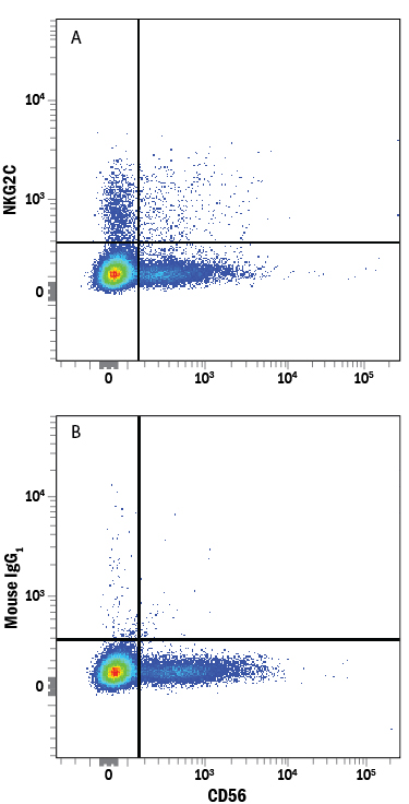 Detection of NKG2C/CD159c antibody in Human PBMC lymphocytes antibody by Flow Cytometry.
