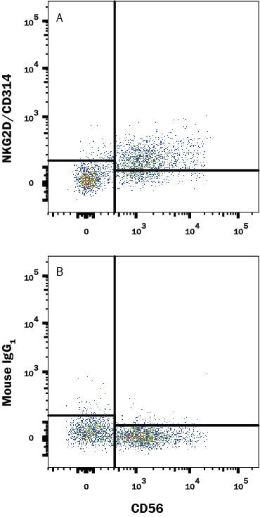 Detection of NKG2D/CD314 antibody in Human Blood Lymphocytes antibody by Flow Cytometry.