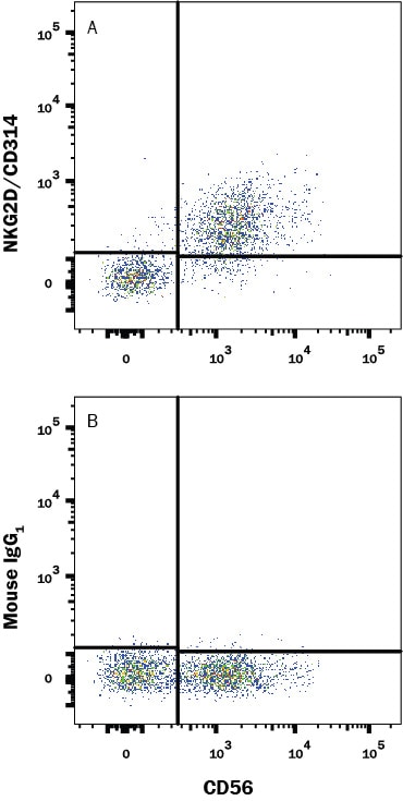 Detection of NKG2D/CD314 antibody in Human PBMCs gated on CD3- cells antibody by Flow Cytometry.