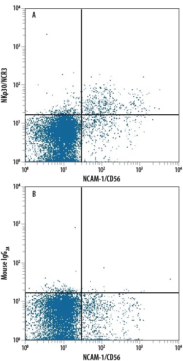 Detection of NKp30/NCR3 antibody in Human Blood Lymphocytes antibody by Flow Cytometry.