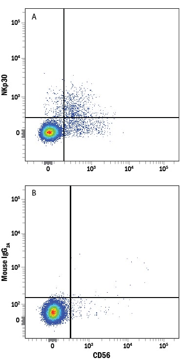 Detection of NKp30/NCR3 antibody in Human PBMCs antibody by Flow Cytometry.