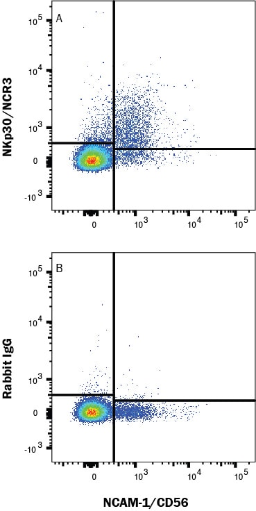 Detection of NKp30/NCR3 antibody in Human PBMCs antibody by Flow Cytometry.
