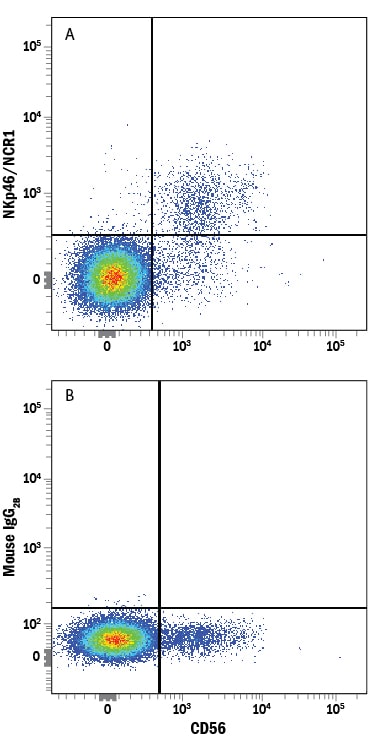 Detection of NKp46/NCR1 antibody in Human PBMCs antibody by Flow Cytometry.