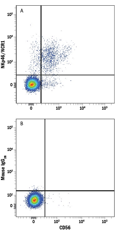 Detection of NKp46/NCR1 antibody in Human PBMCs antibody by Flow Cytometry.