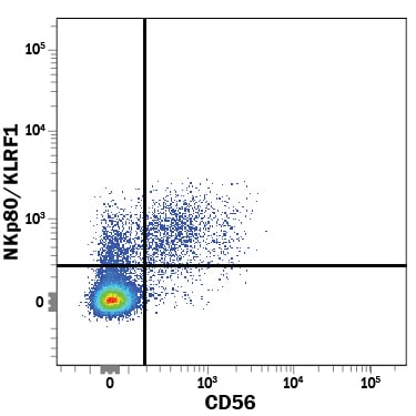 Detection of NKp80/KLRF1 antibody in Human PBMCs antibody by Flow Cytometry.