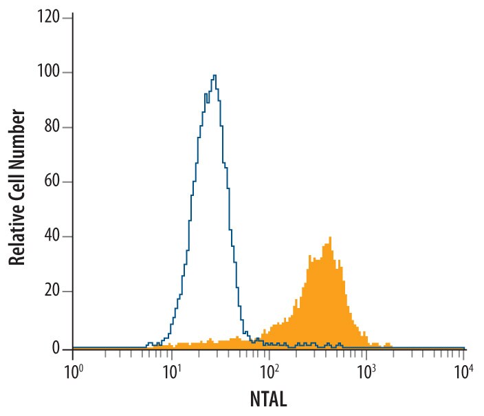 Detection of NTAL antibody in THP-1 Human Cell Line antibody by Flow Cytometry.