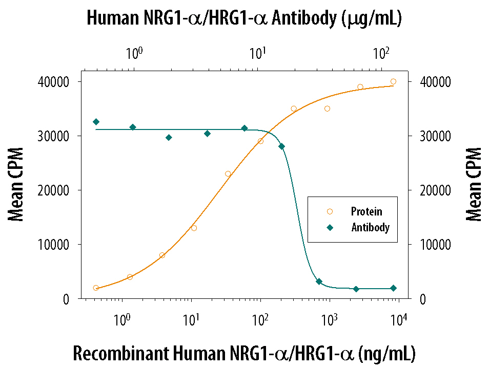 Cell Proliferation Induced by NRG1‑ alpha /HRG1‑ alpha  and Neutralization by Human NRG1‑ alpha /HRG1‑ alpha  Antibody.