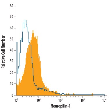 Detection of Neuropilin-1 antibody in PC-12 Rat Cell Line antibody by Flow Cytometry.