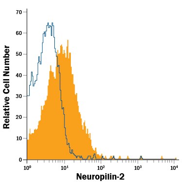 Detection of Neuropilin-2 antibody in C6 Rat Cell Line antibody by Flow Cytometry.